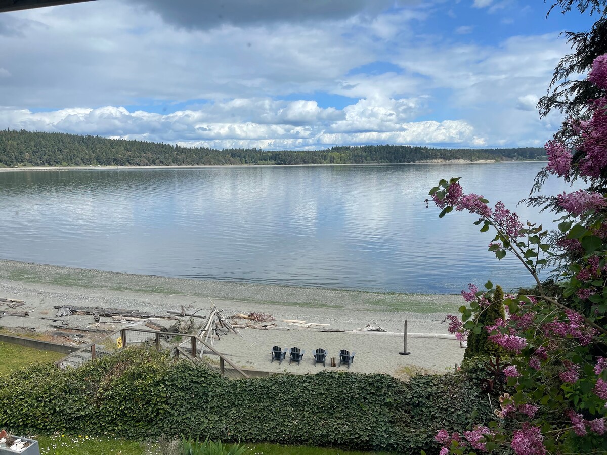 Adirondack chairs on the sandy beach looking out over Oak Bay